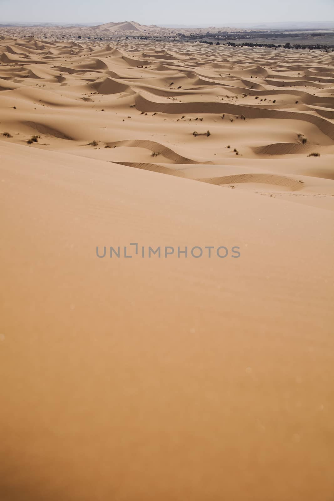 Sahara Desert, merzouga, colorful vibrant travel theme by JanPietruszka