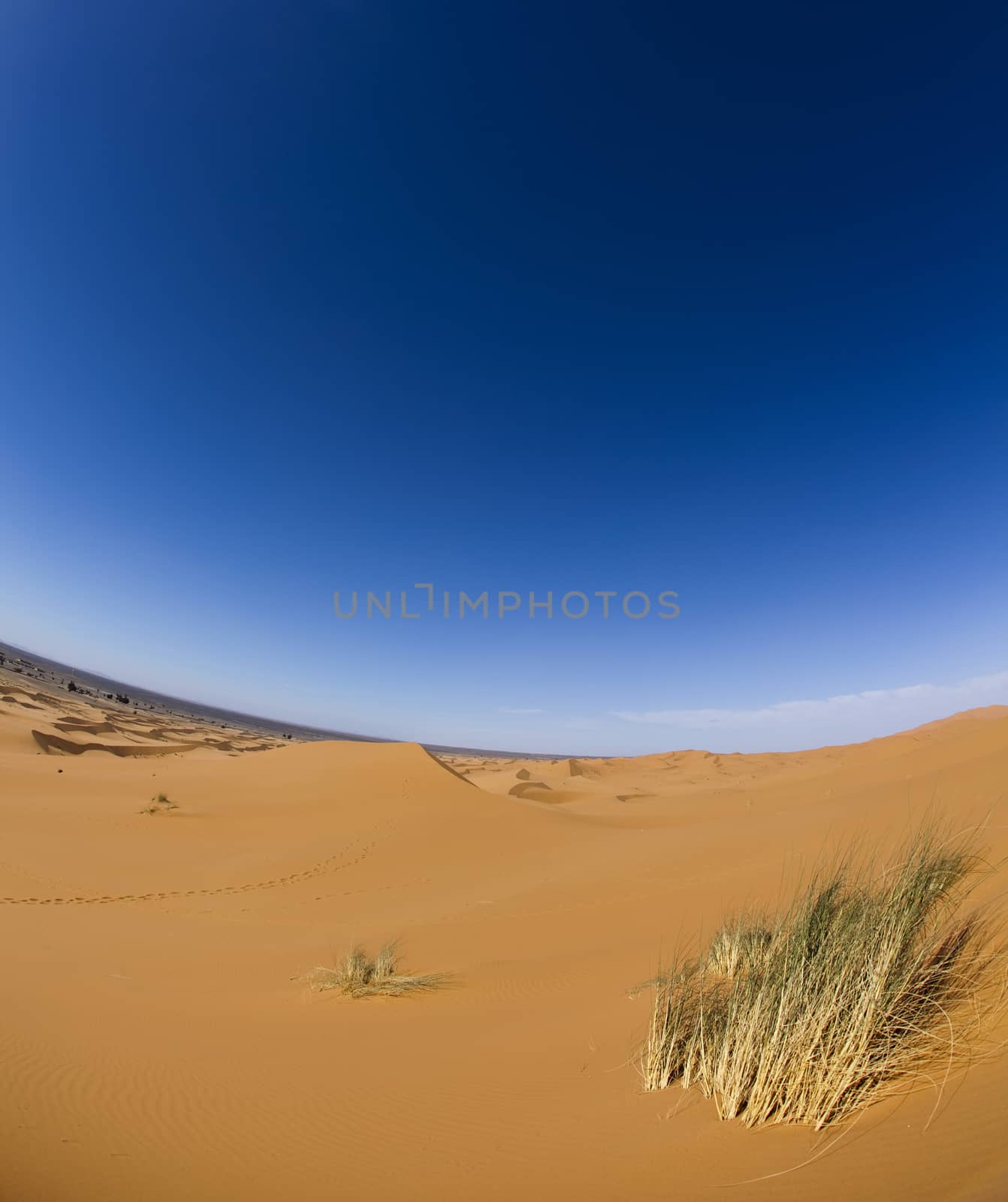 Dunes in Moroccan Sahara, colorful vibrant travel theme