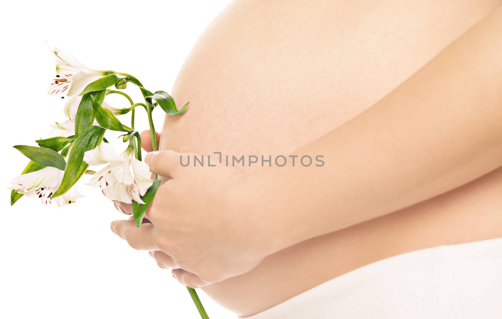 Pregnant woman is holding white jentle flower infront of her abdomen on white background, isolated with work path.