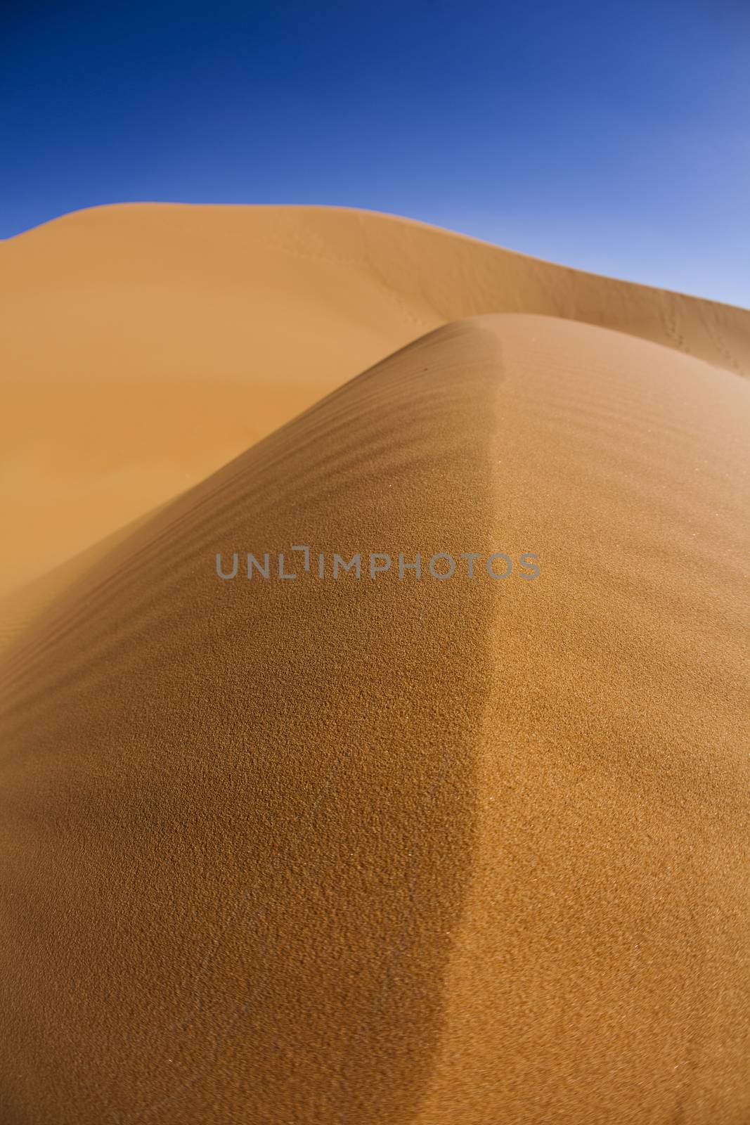 Desert dunes, colorful vibrant travel theme by JanPietruszka