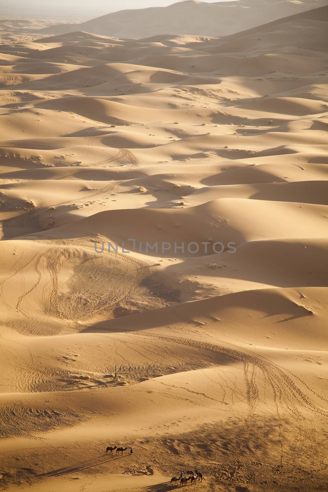 Dunes, colorful vibrant travel theme