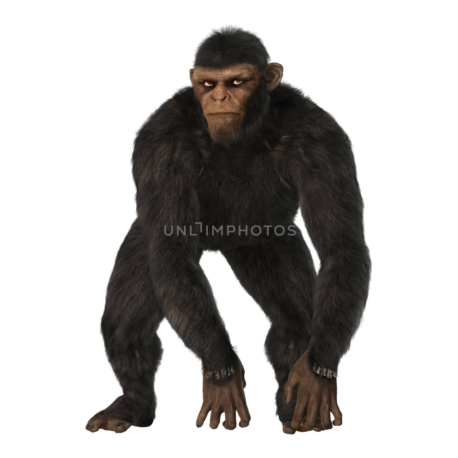 3D digital render of a big chimpanzee isolated on white background