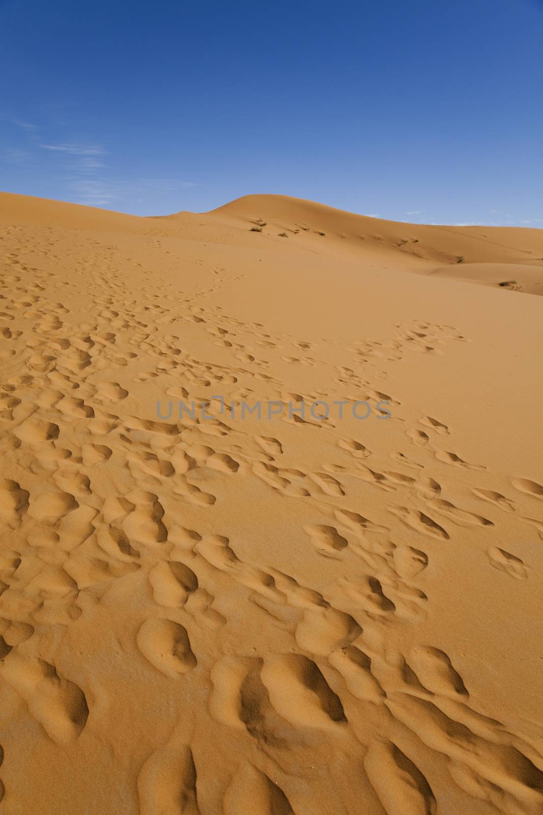 Sand background, colorful vibrant travel theme by JanPietruszka