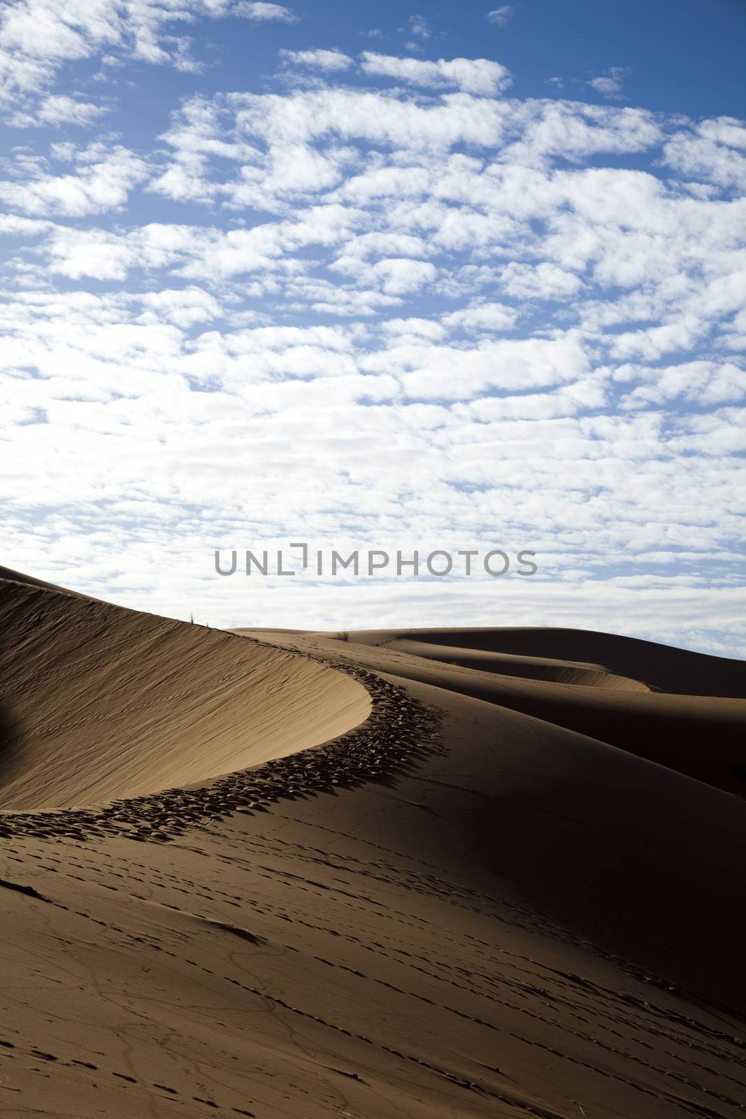 Sandscapes in the desert, colorful vibrant travel theme