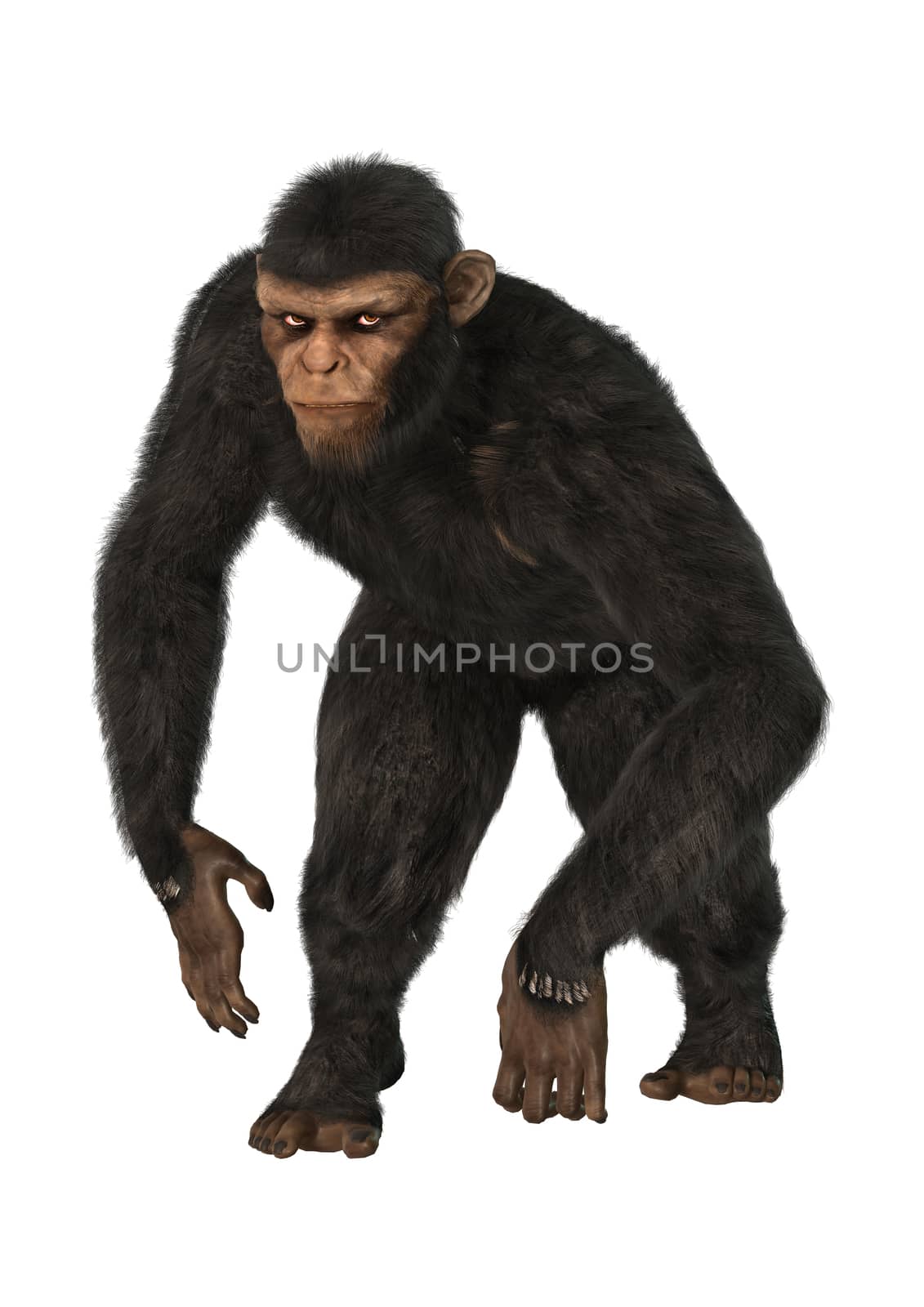 3D digital render of a big chimpanzee isolated on white background