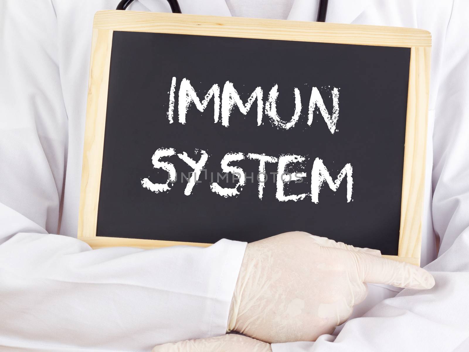 Doctor shows information: immune system in german