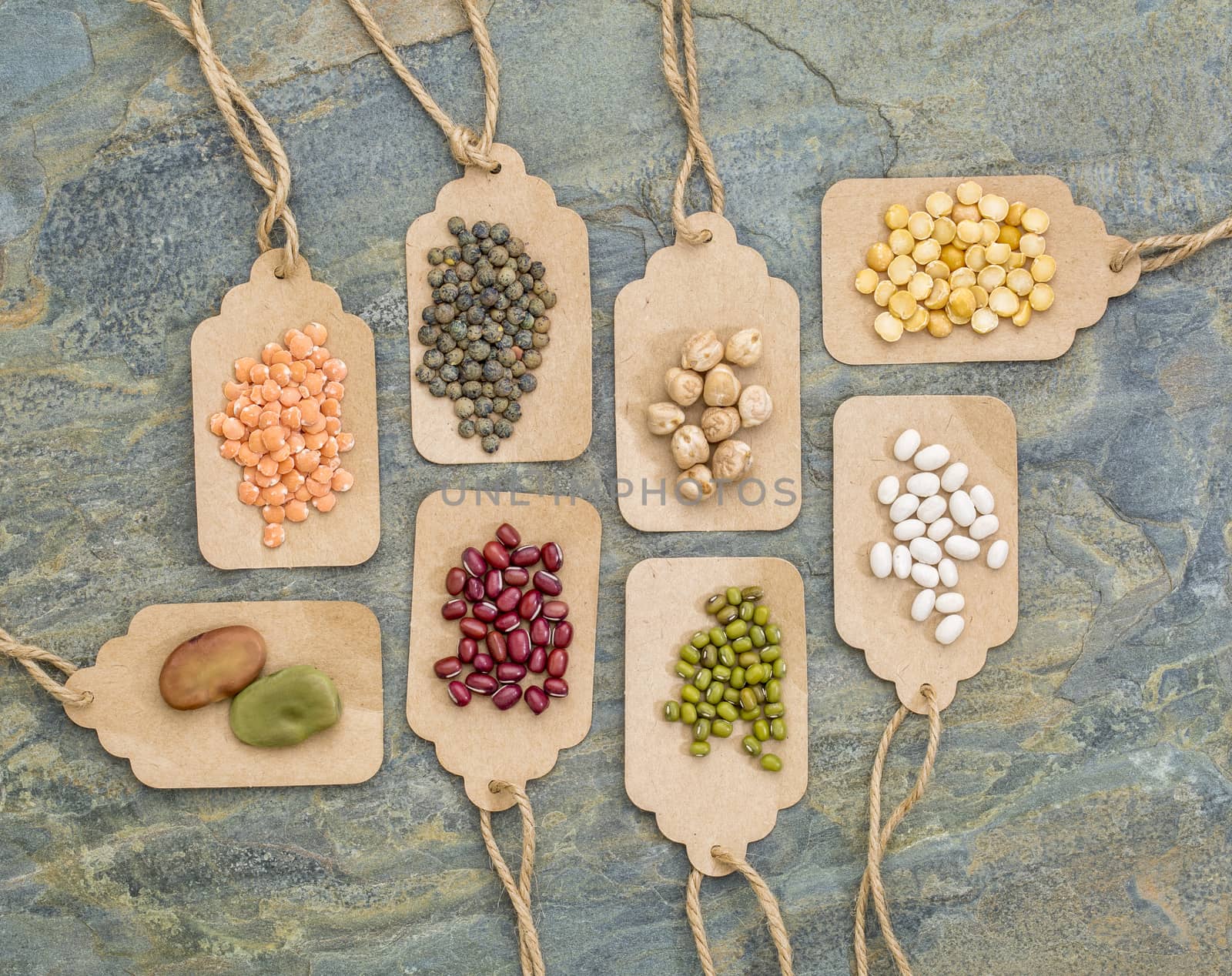 legume abstract (fava bean, red lentils, adzuki bean, soy, mung bean,navy bean, yellow pea, French lentils) - top view of paper price tags against slate stone