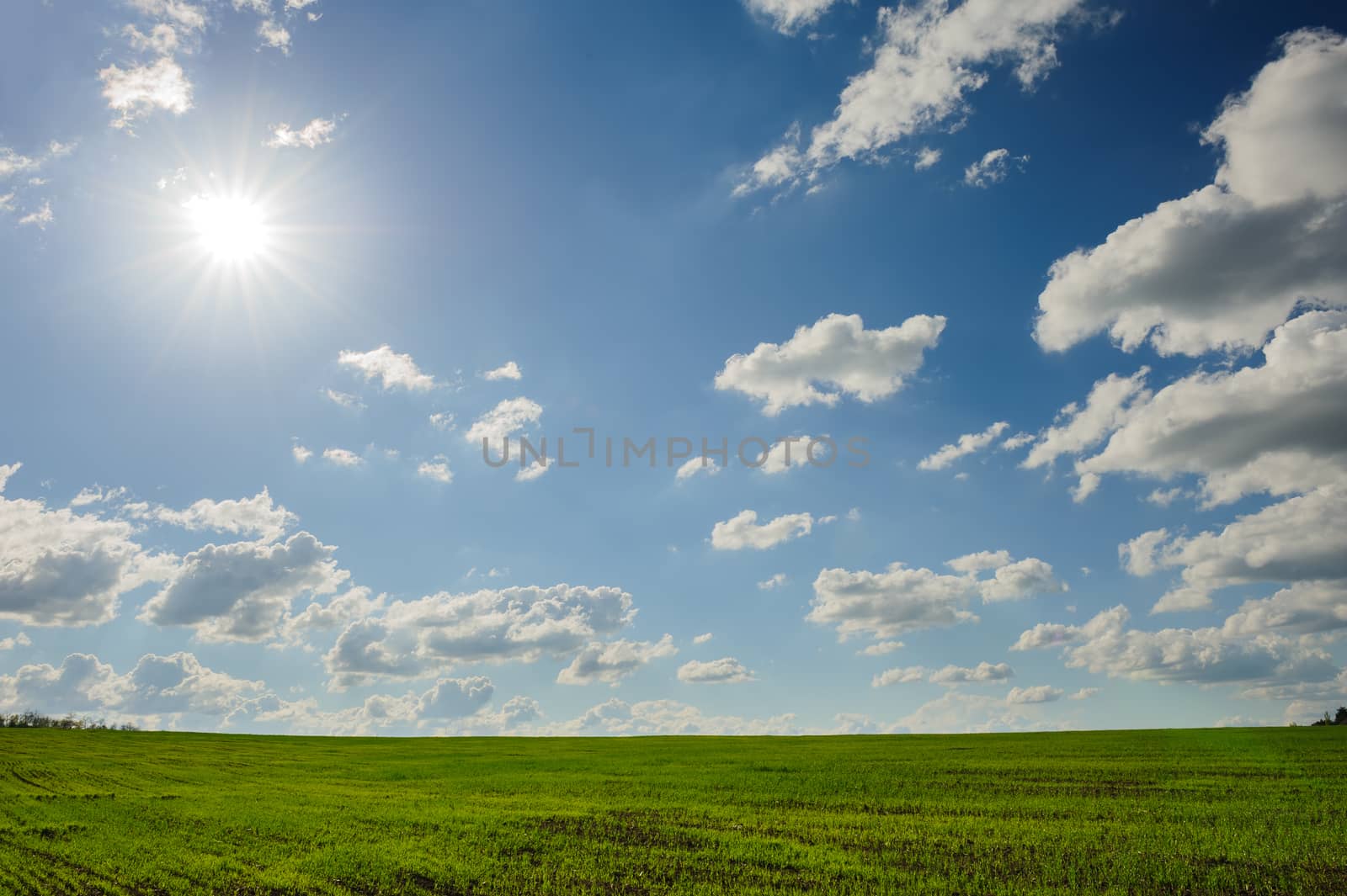 beautiful green field landscape with clouds and sun