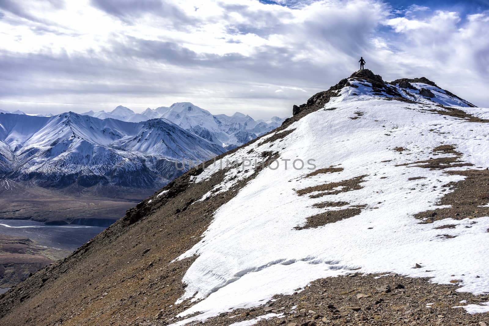 Alaska Denali Hiking - Across from Mt. McKinley by leieng
