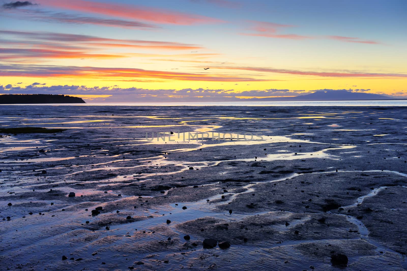 Alaska Shoreline - Sunset by leieng