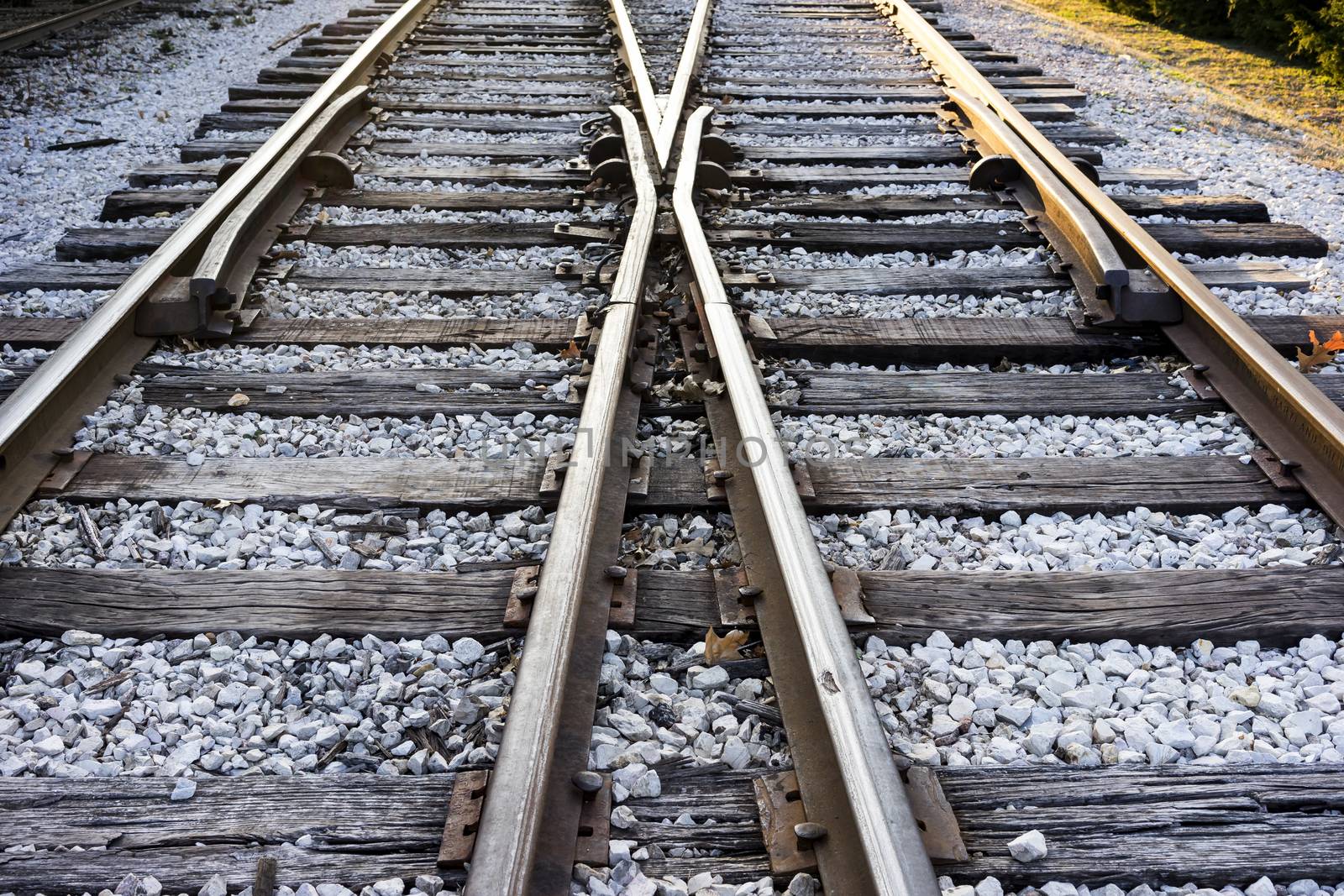 Train Tracks of Texas by leieng