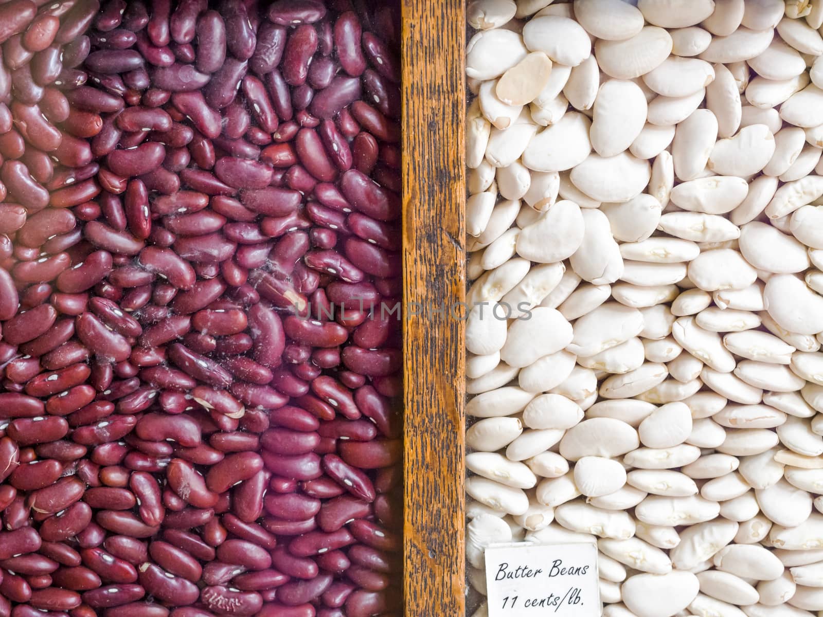 Dry Bean in an Antique Display Case by leieng