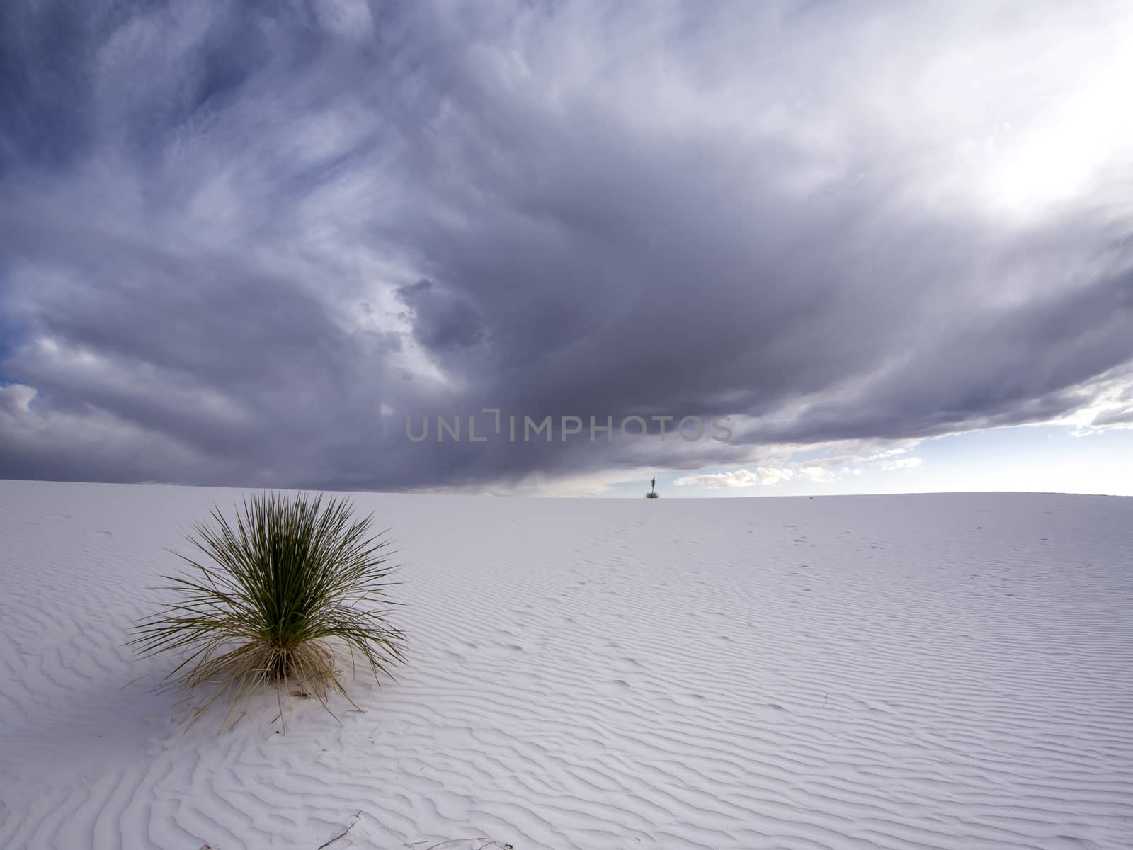 White Sands Sunset by leieng