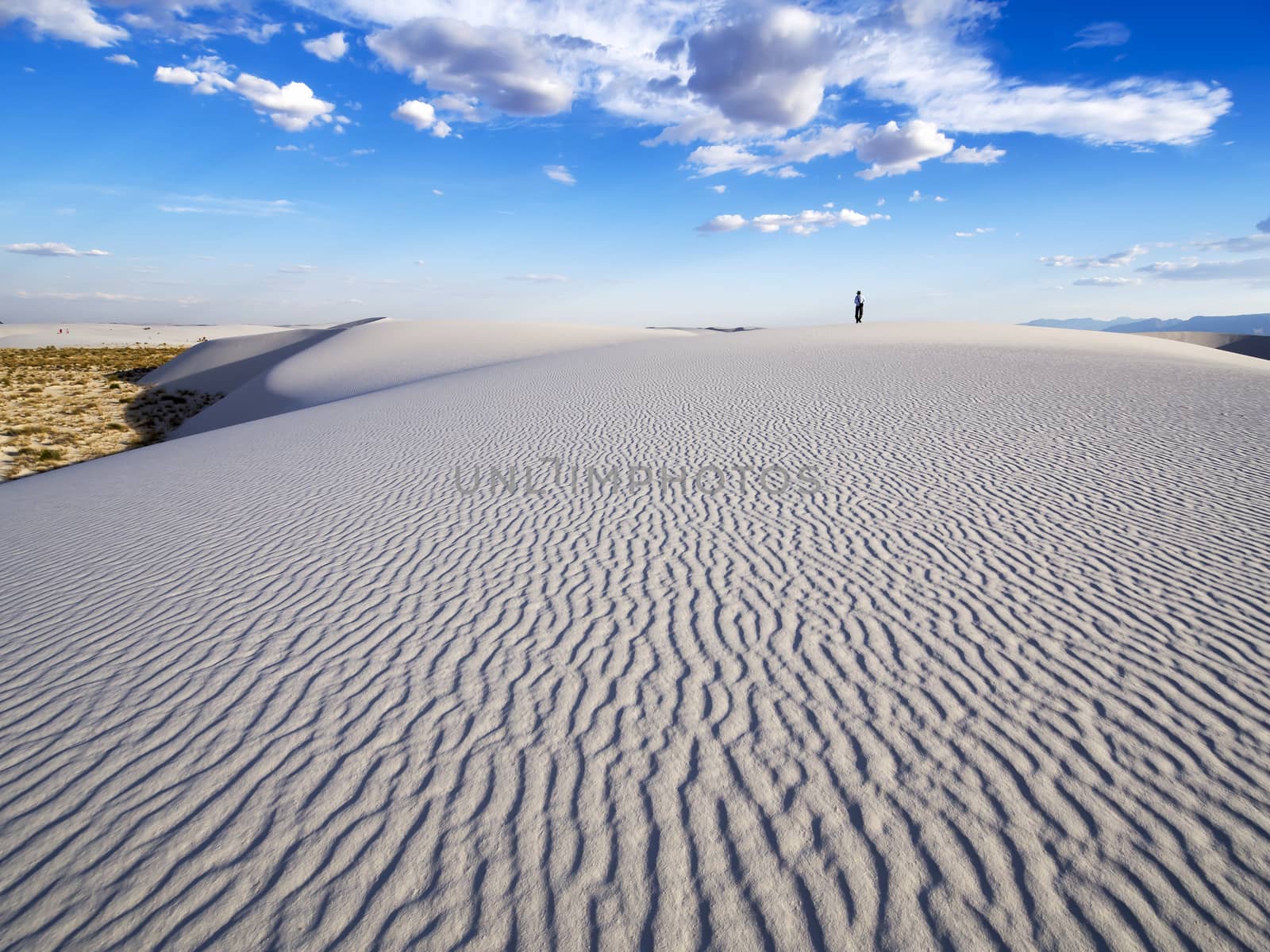 White Sands Morning View by leieng