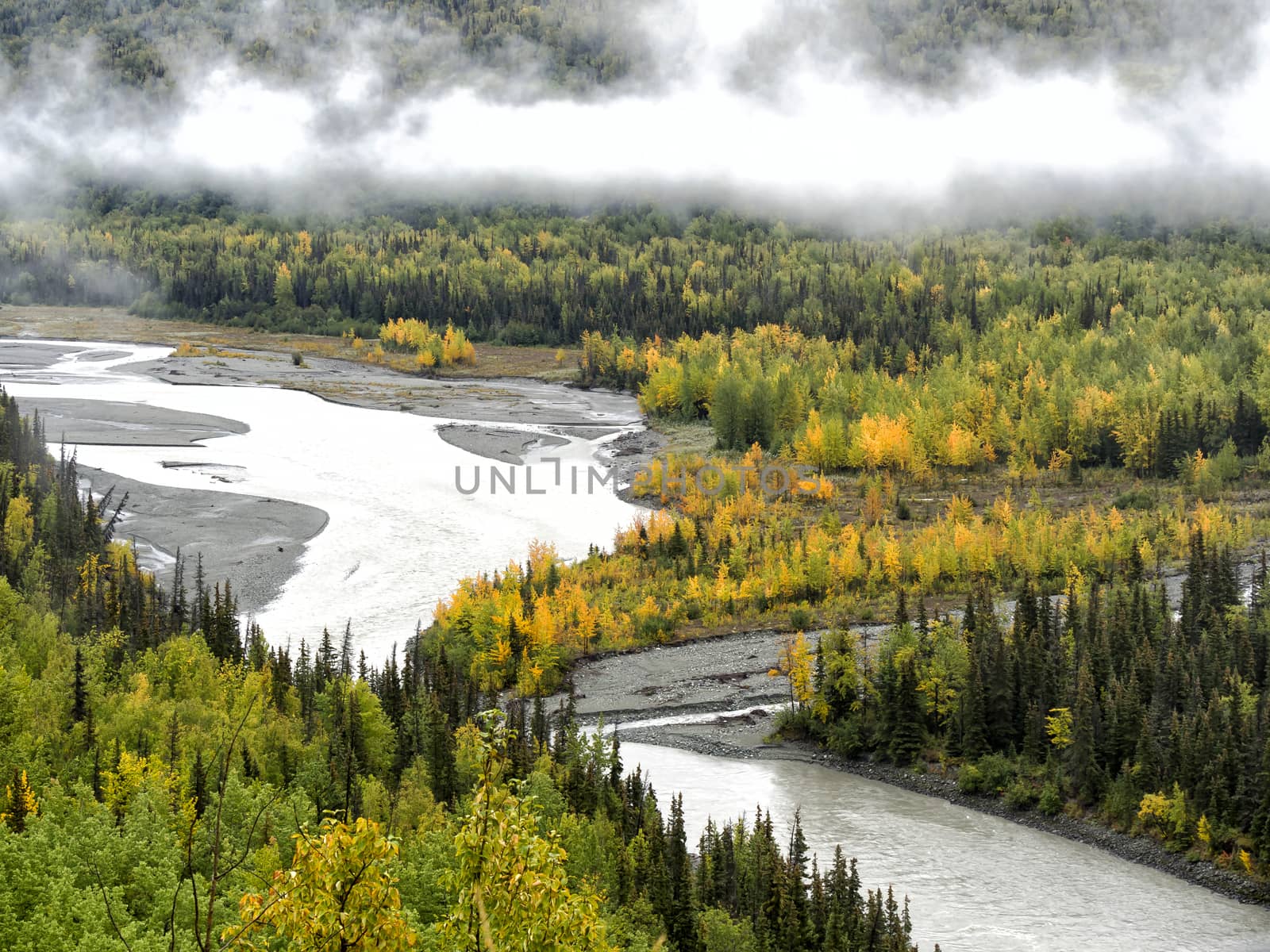 Autumn in Alaska - Foggy Morning by leieng