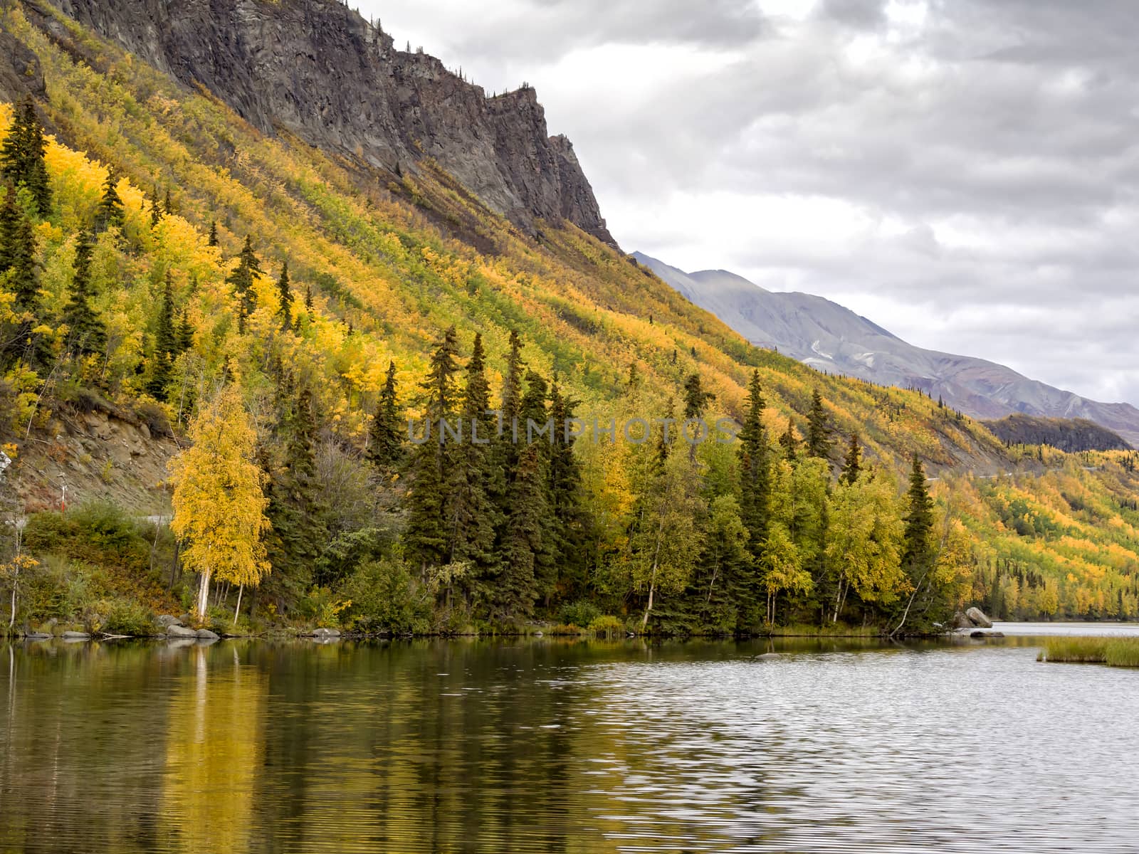 Alaska in Autumn by leieng