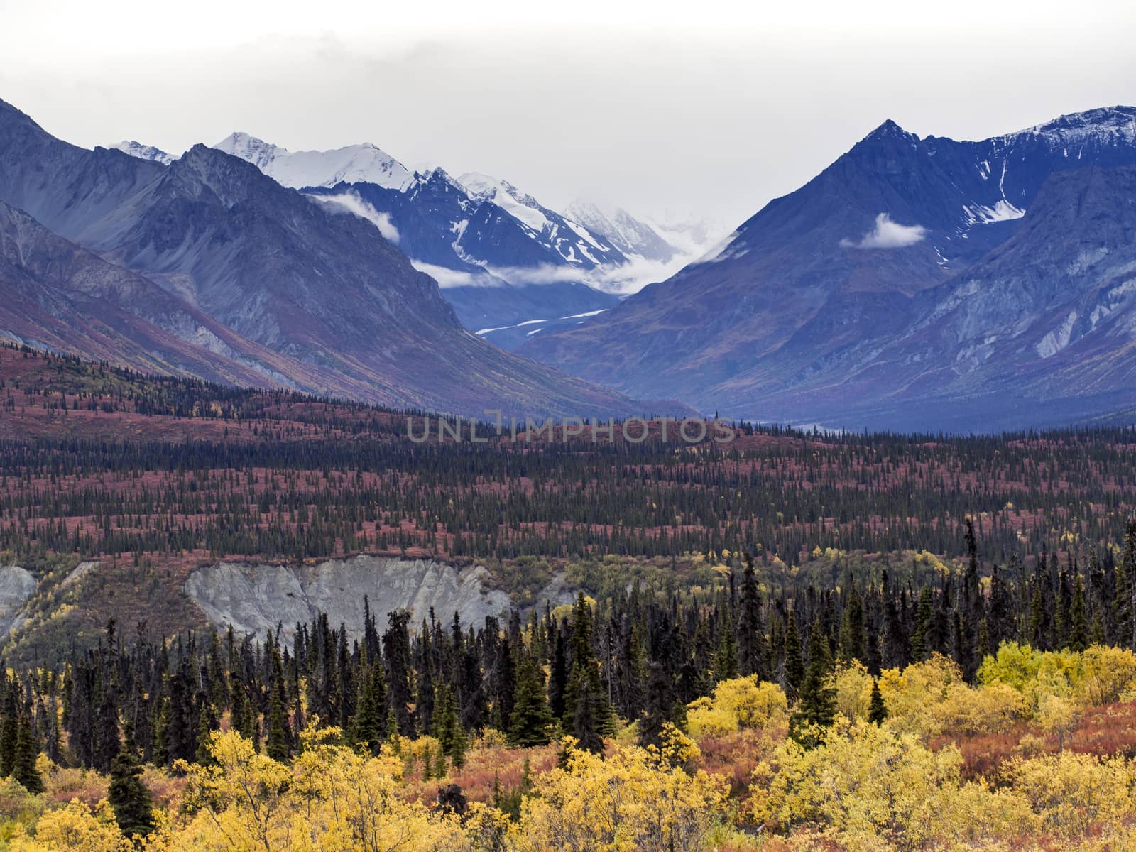 Alaska Mountain Range View - Near Denali National Park by leieng