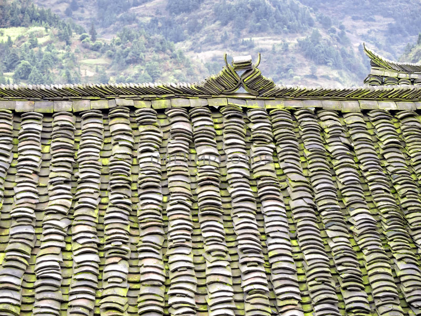 Ancient Roof Tile by leieng