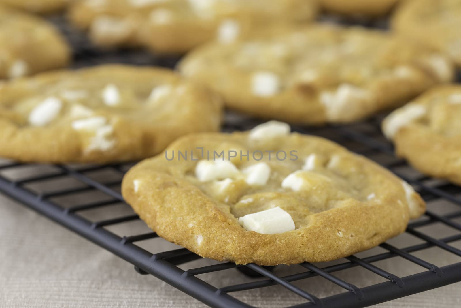 White Chocolate and Macadamia Cookies by billberryphotography