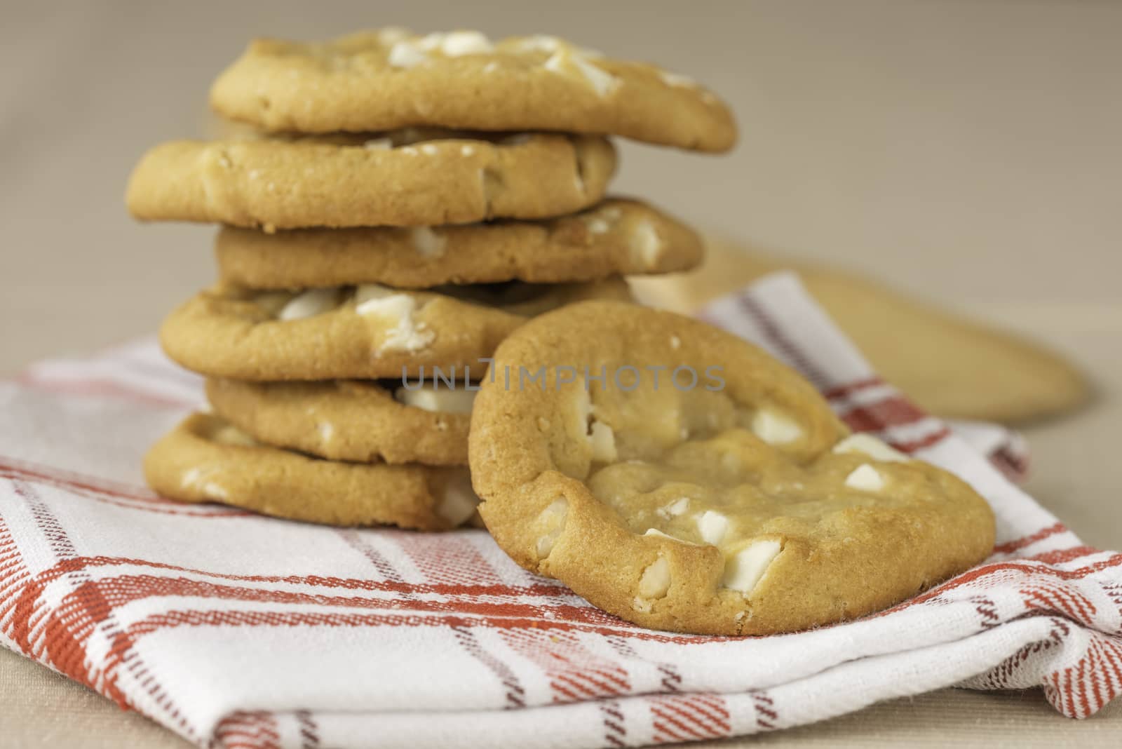 Freshly baked soft white chocolate and macadamia cookies.