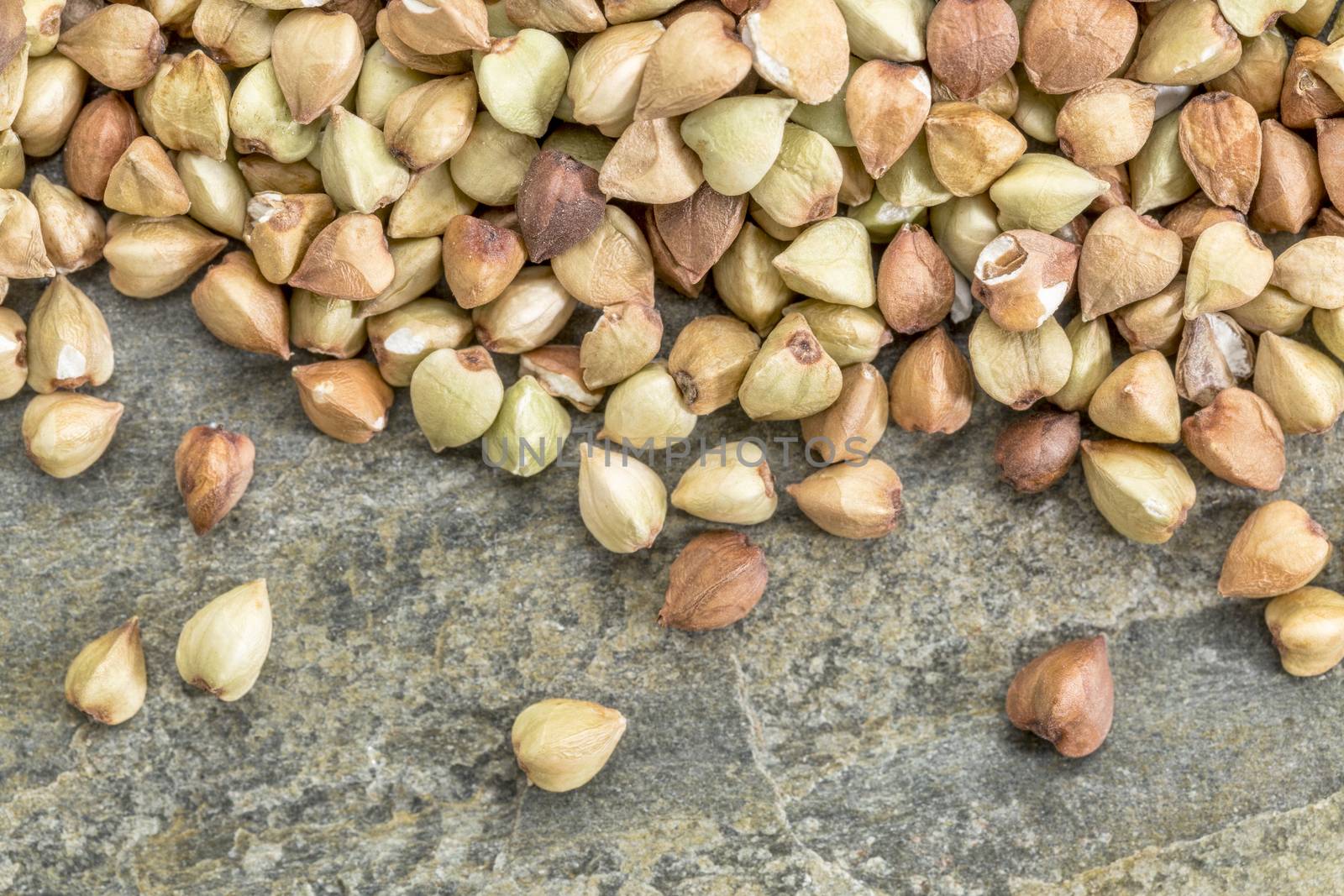 background of healthy, gluten free buckwheat grain on a slate rock