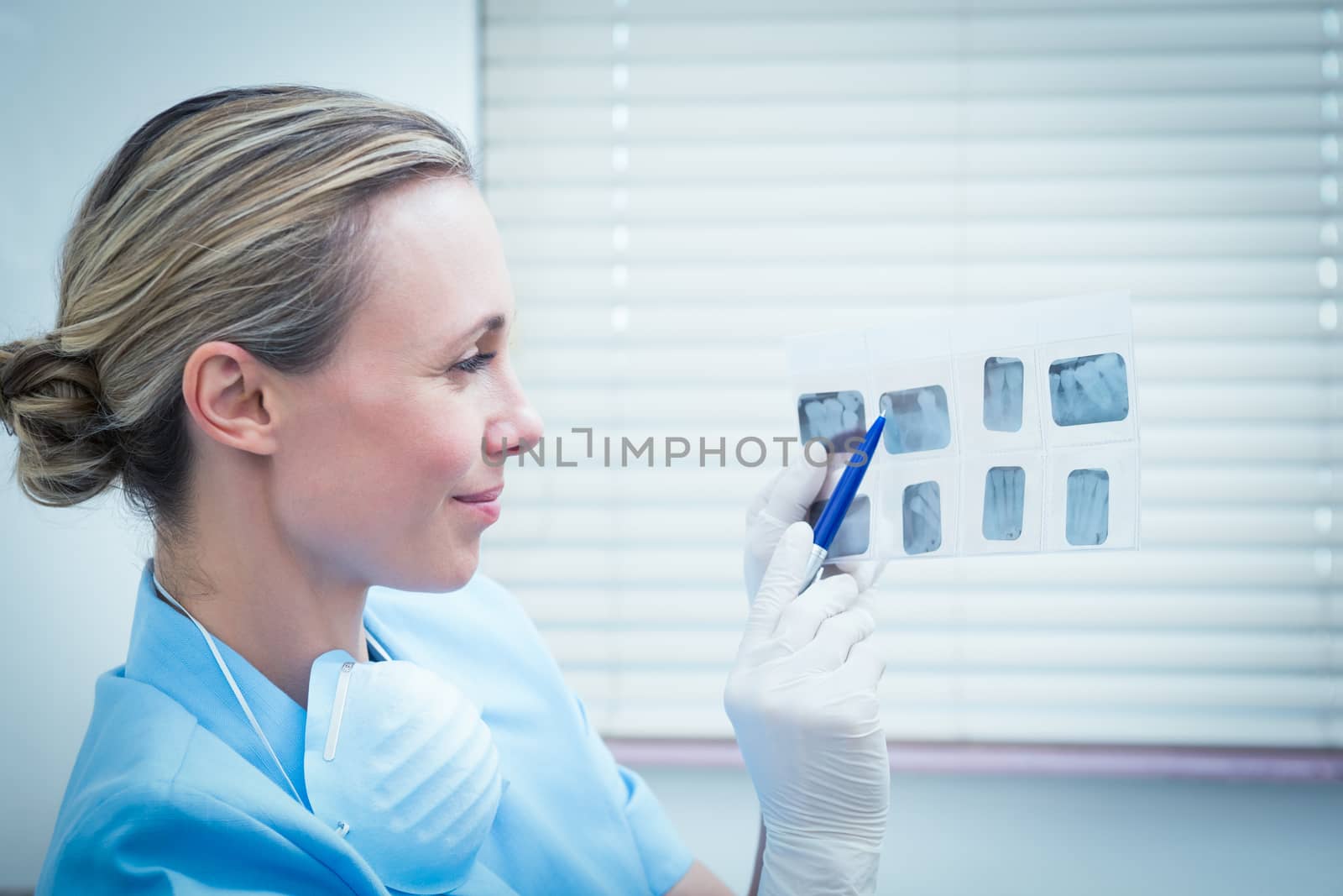 Concentrated female dentist looking at x-ray by Wavebreakmedia
