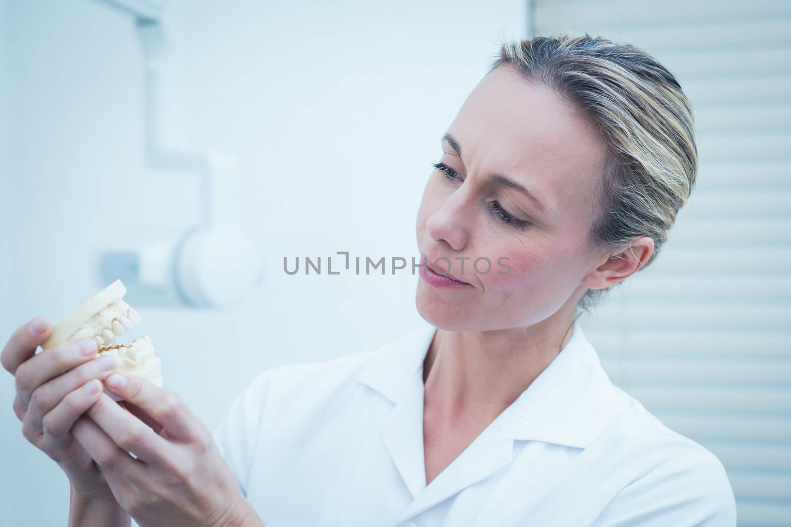 Female young dentist looking at mouth model