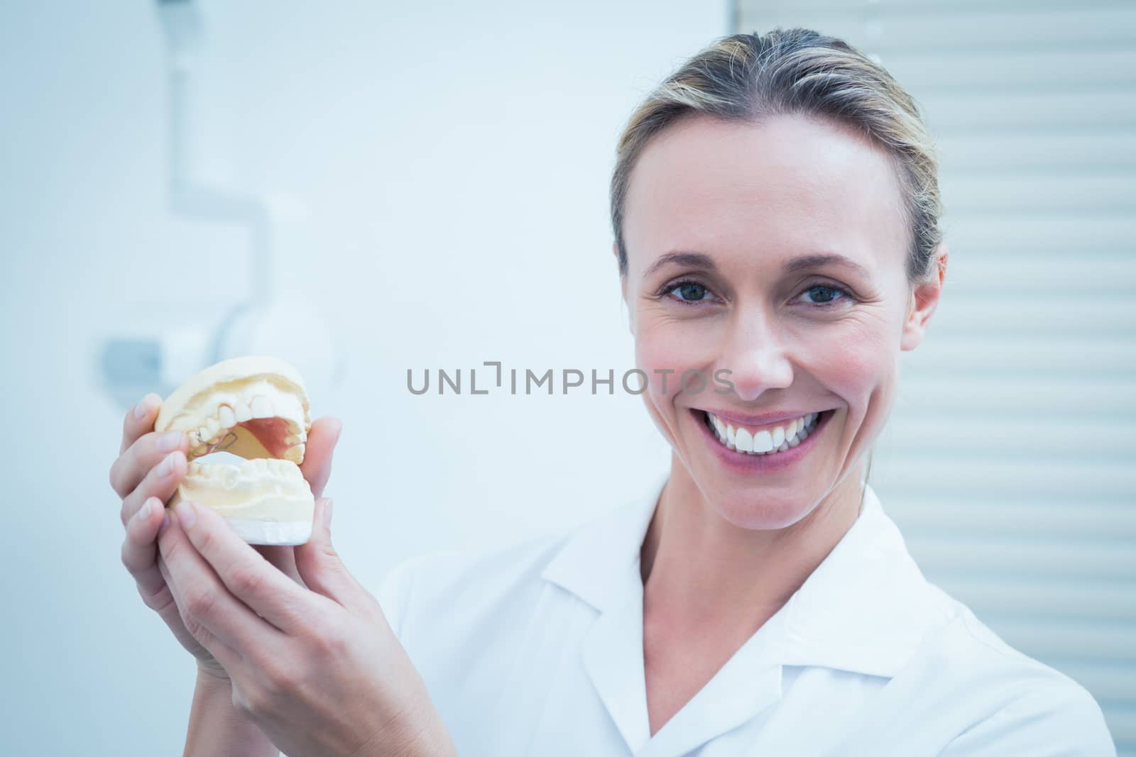 Smiling female dentist holding mouth model by Wavebreakmedia
