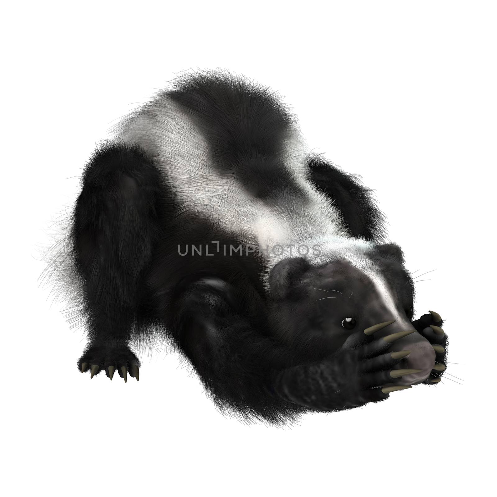 3D digital render of a funny skunk isolated on white background