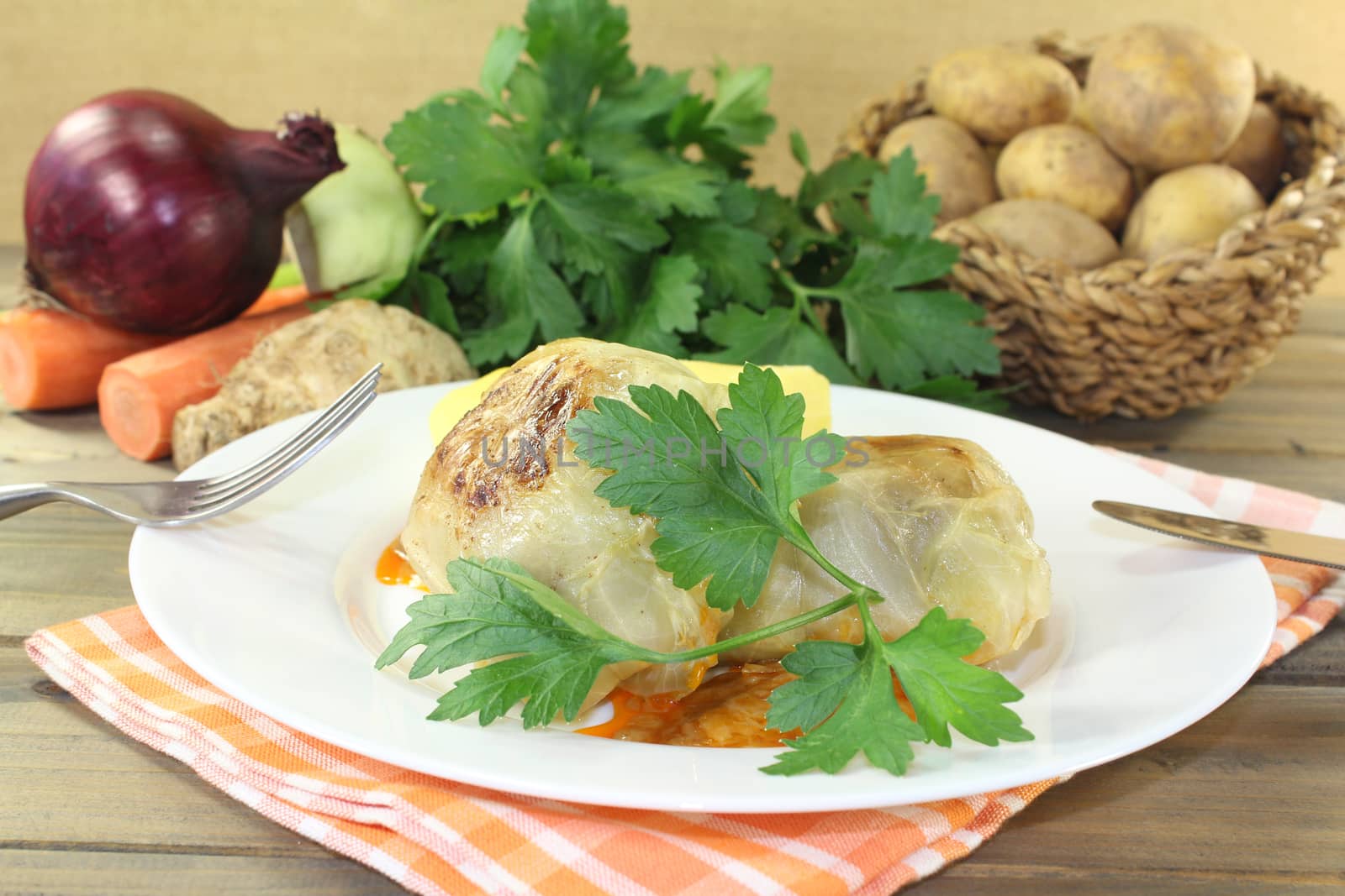 braised Stuffed cabbage on a checkered napkin
