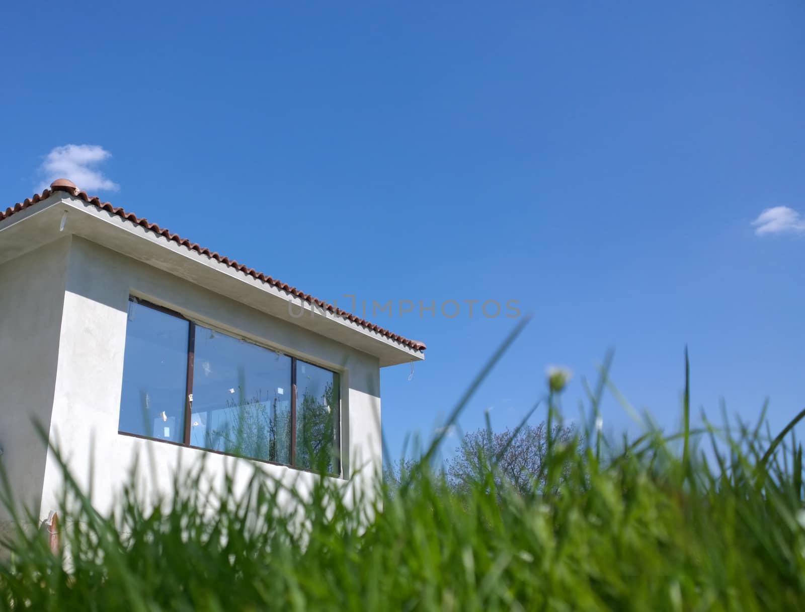 House In Green Field.