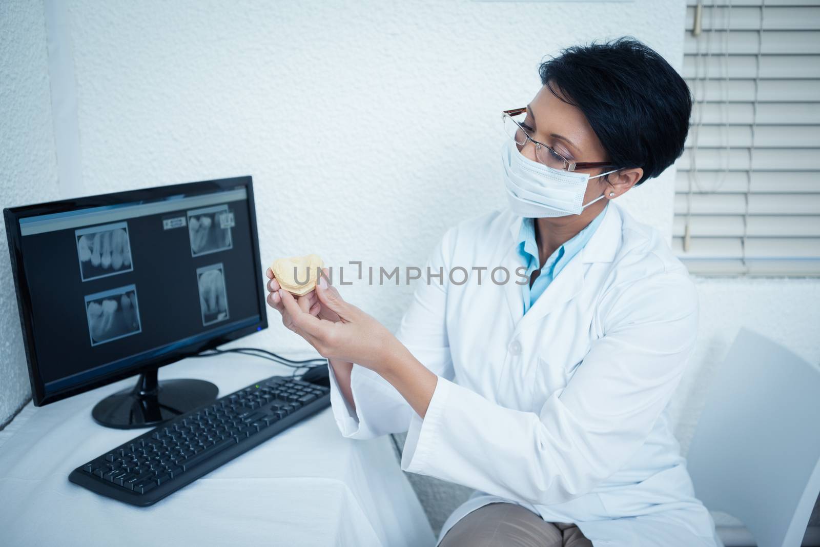 Female dentist holding mouth model by Wavebreakmedia