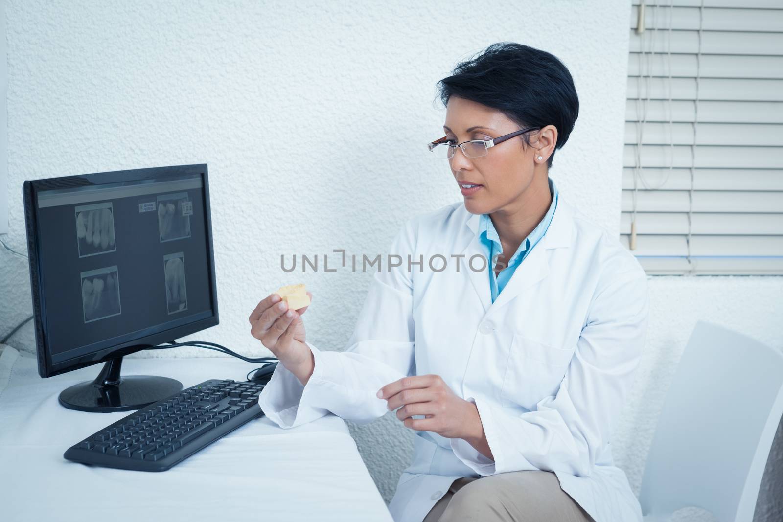 Dentist holding mouth model besides computer by Wavebreakmedia