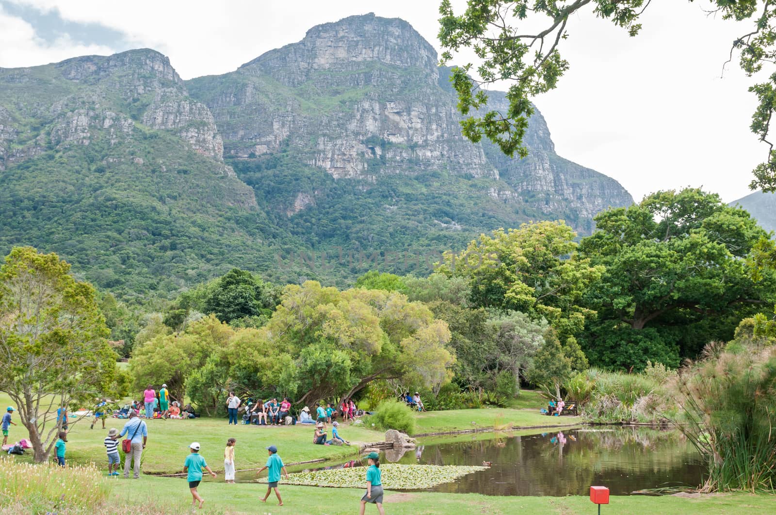 CAPE TOWN, SOUTH AFRICA - DECEMBER 9, 2014: Unidentified people in the Kirstenbosch National Botanical Gardens with part of Table Mountain visible