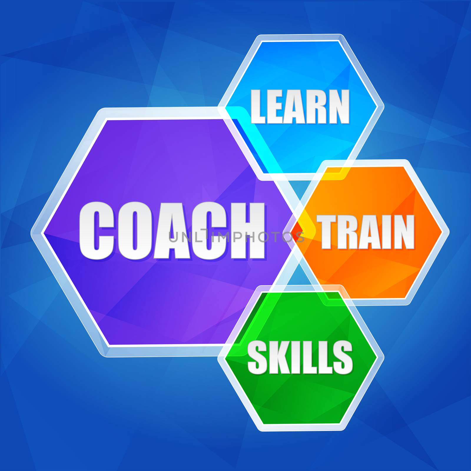 coach, learn, train, skills - business education motivation concept words in color hexagons over blue background, flat design