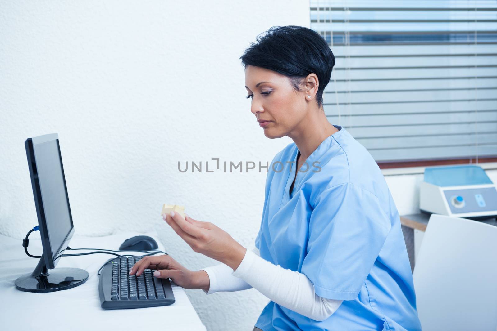 Concentrated female dentist looking at mouth model by computer