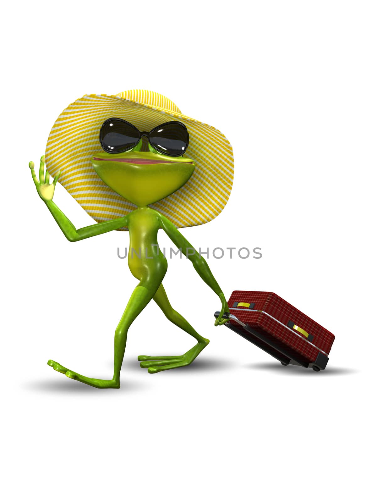 Frog with a Suitcase in a Hat by brux