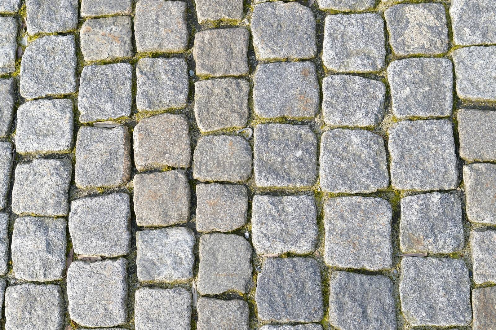 Traditional Cobbled Pavement Stavanger Norway by Whiteboxmedia