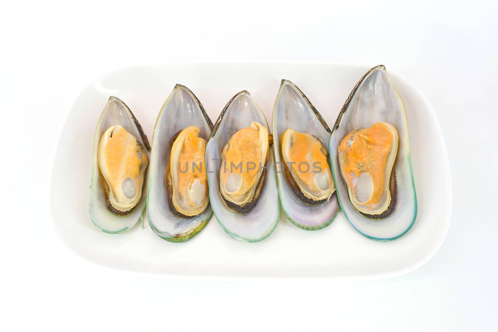 Fresh Mussels for grill isolate on white background