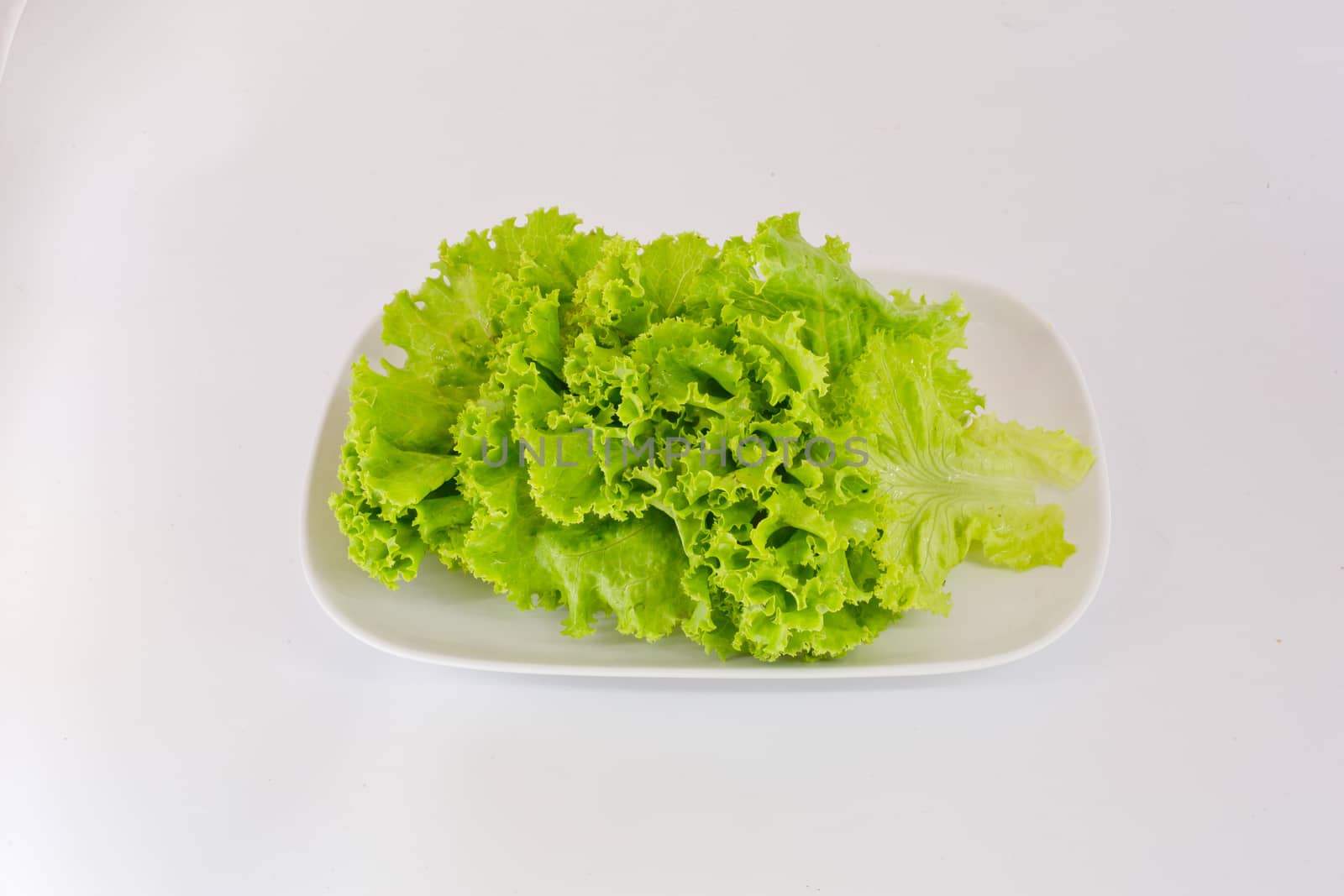 Fresh green lettuce isolated on a white background