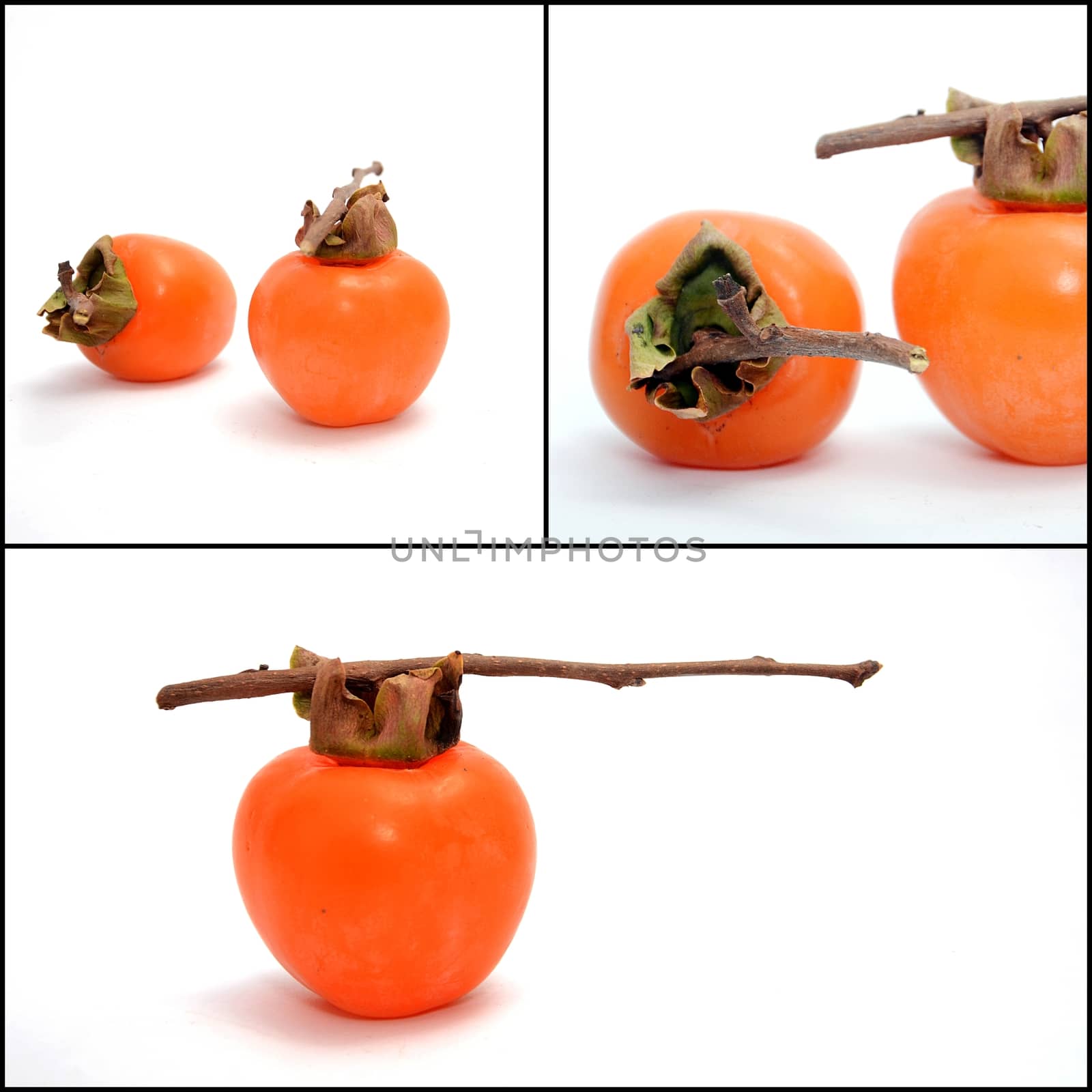 Picture of a Ripe persimmons, collage on a white background