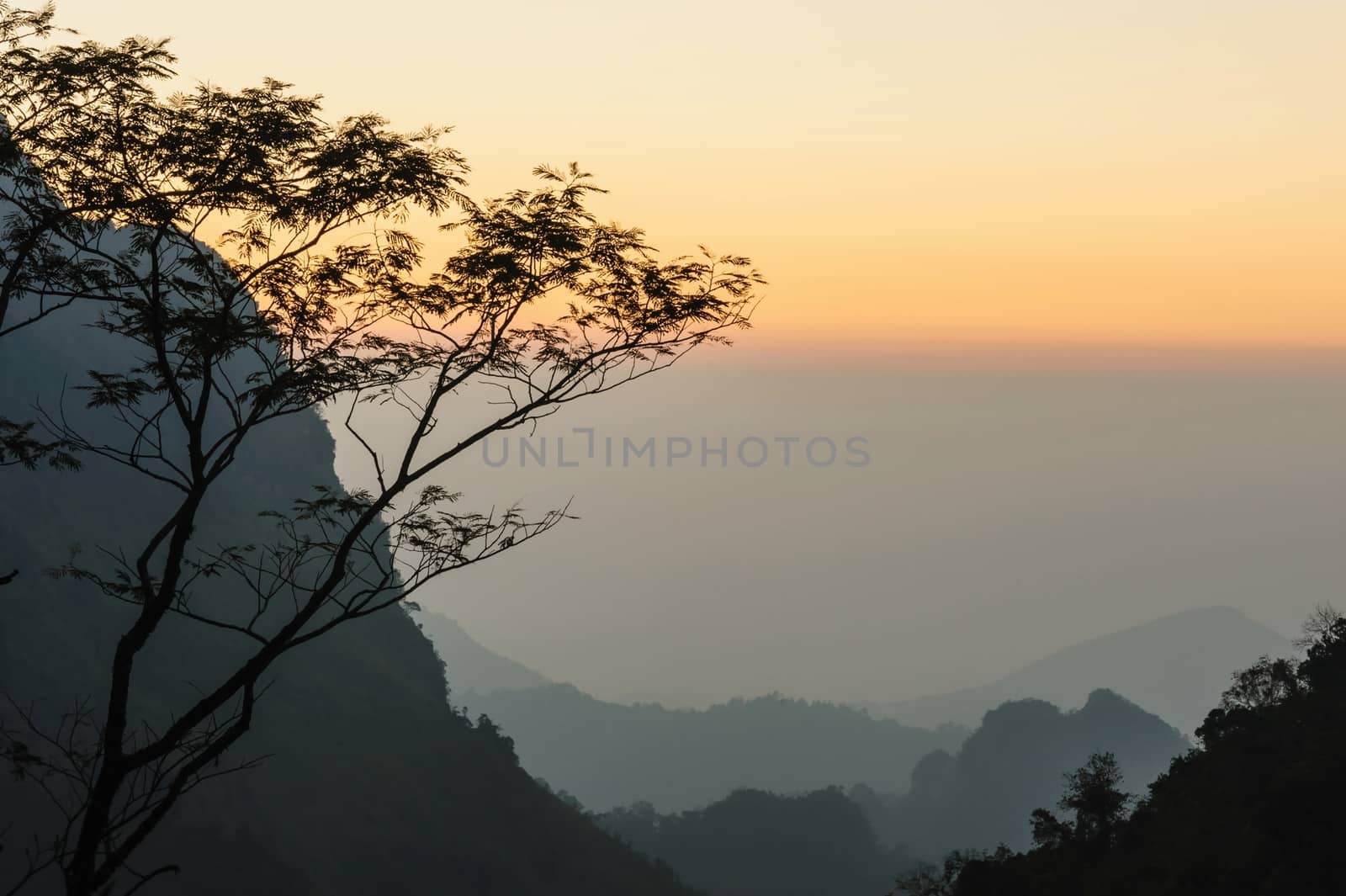 Misty sunset dawn with sunrays over the rainforest, Thailand.