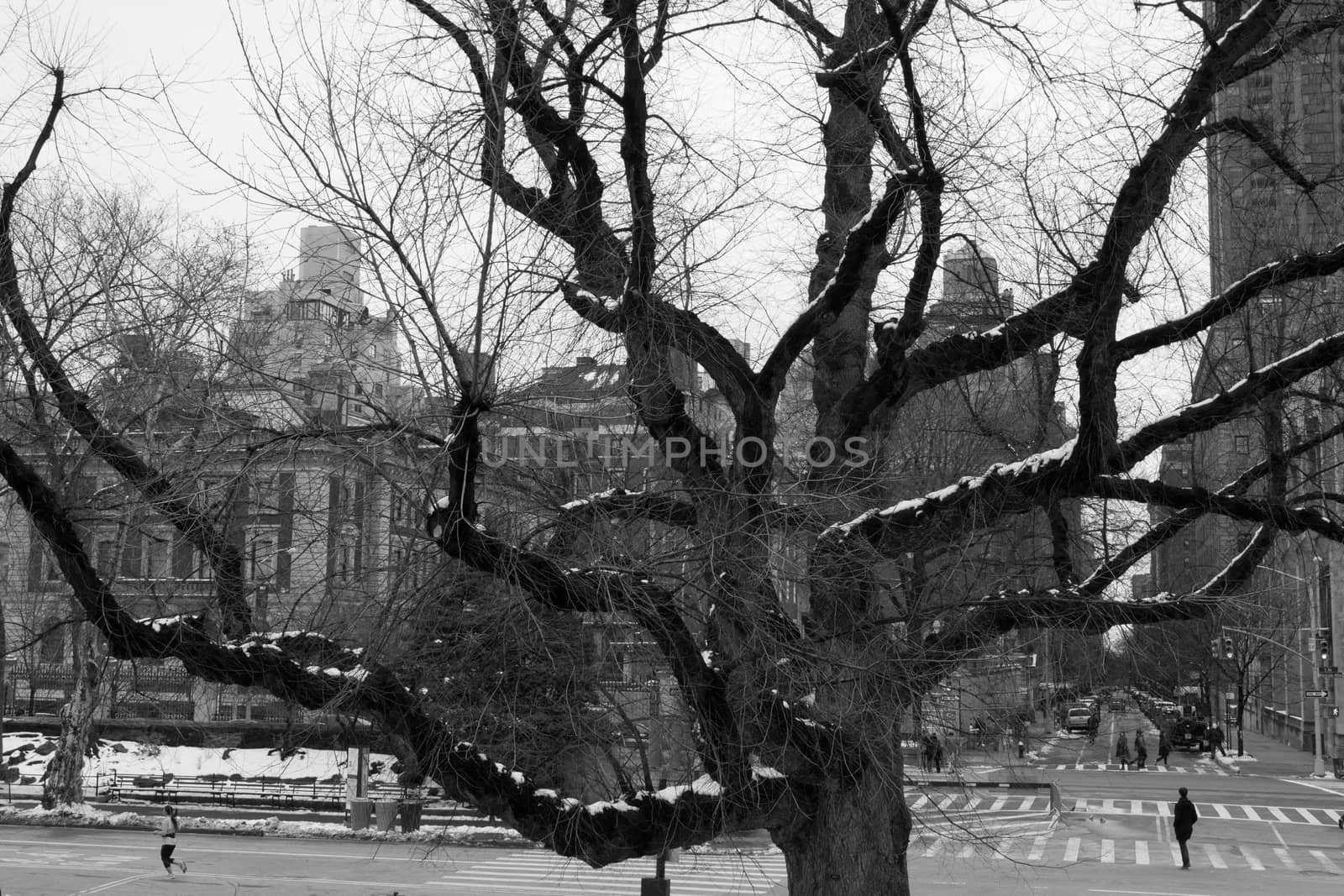 Central Park was initially opened in 1857 and expanded in 1873. It has an expansion of 843 (3.4 square km) acres and is located in the heart of Manhattan