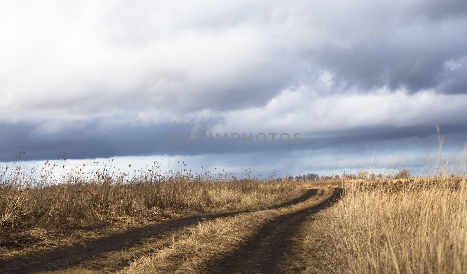 Dirt road in the dry field in a cloudy day.