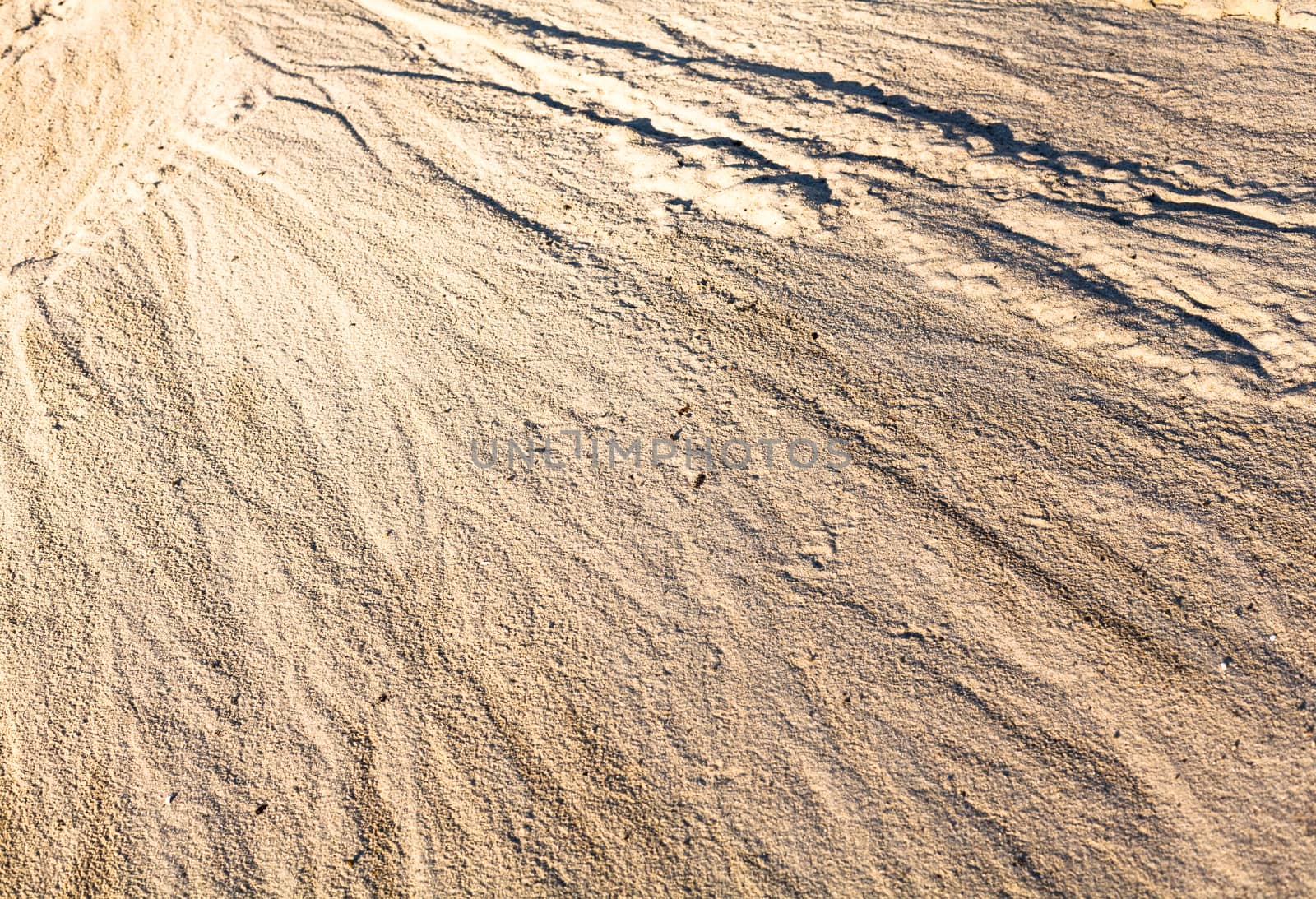 Sand surface after the rain with the visible traces of the water currents