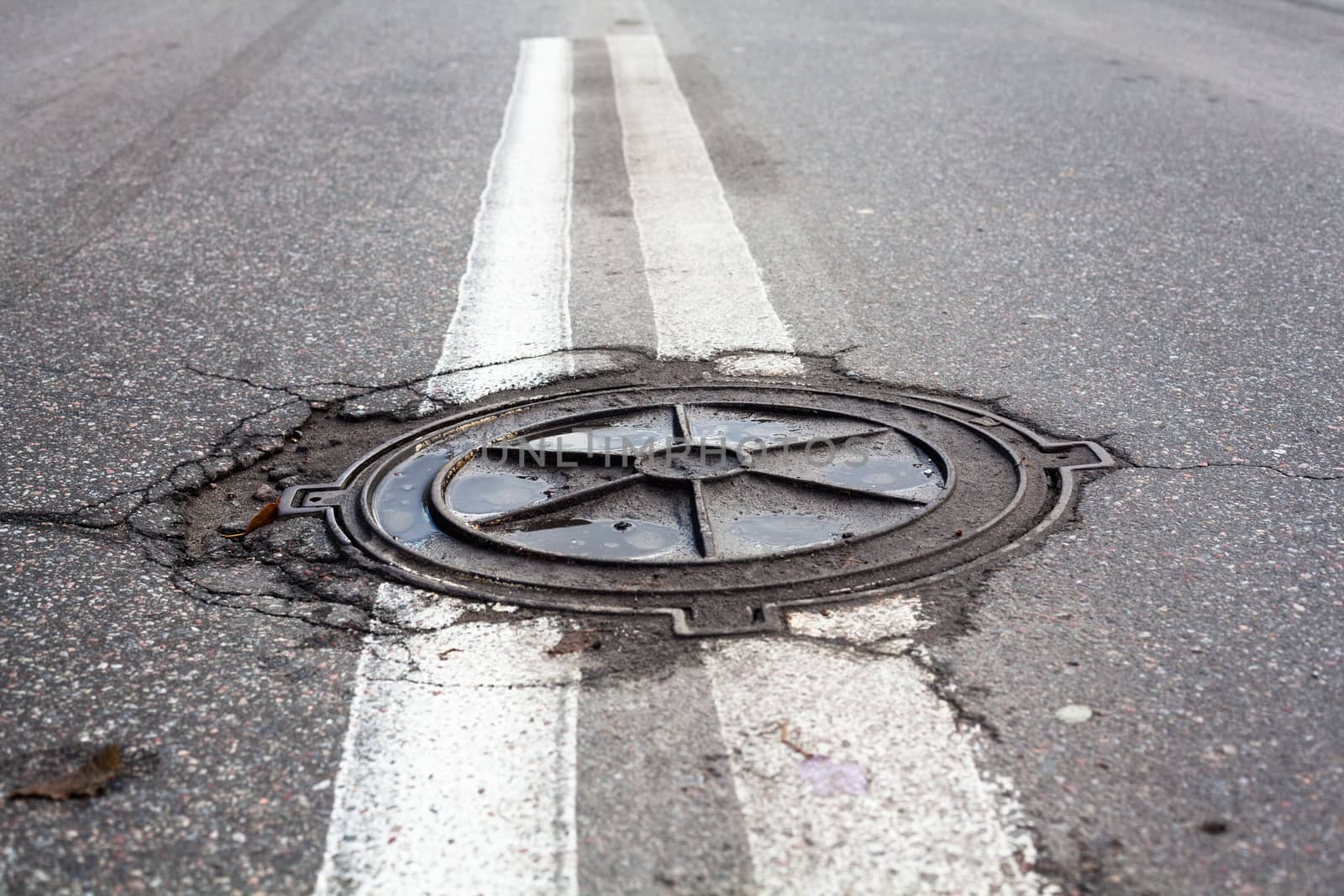 Manhole on the road by rootstocks