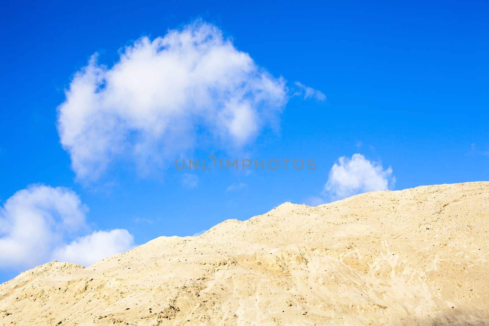 Sand and sky by rootstocks