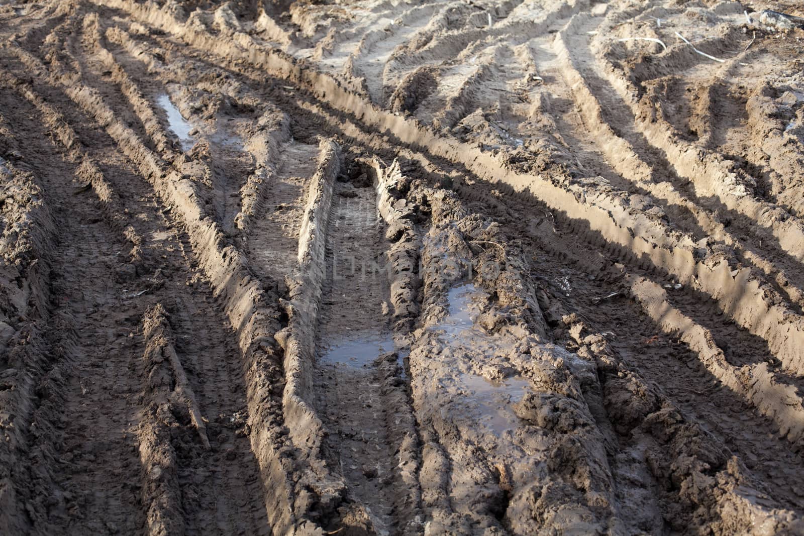Wheel ruts on the muddy dirt road after the rain.