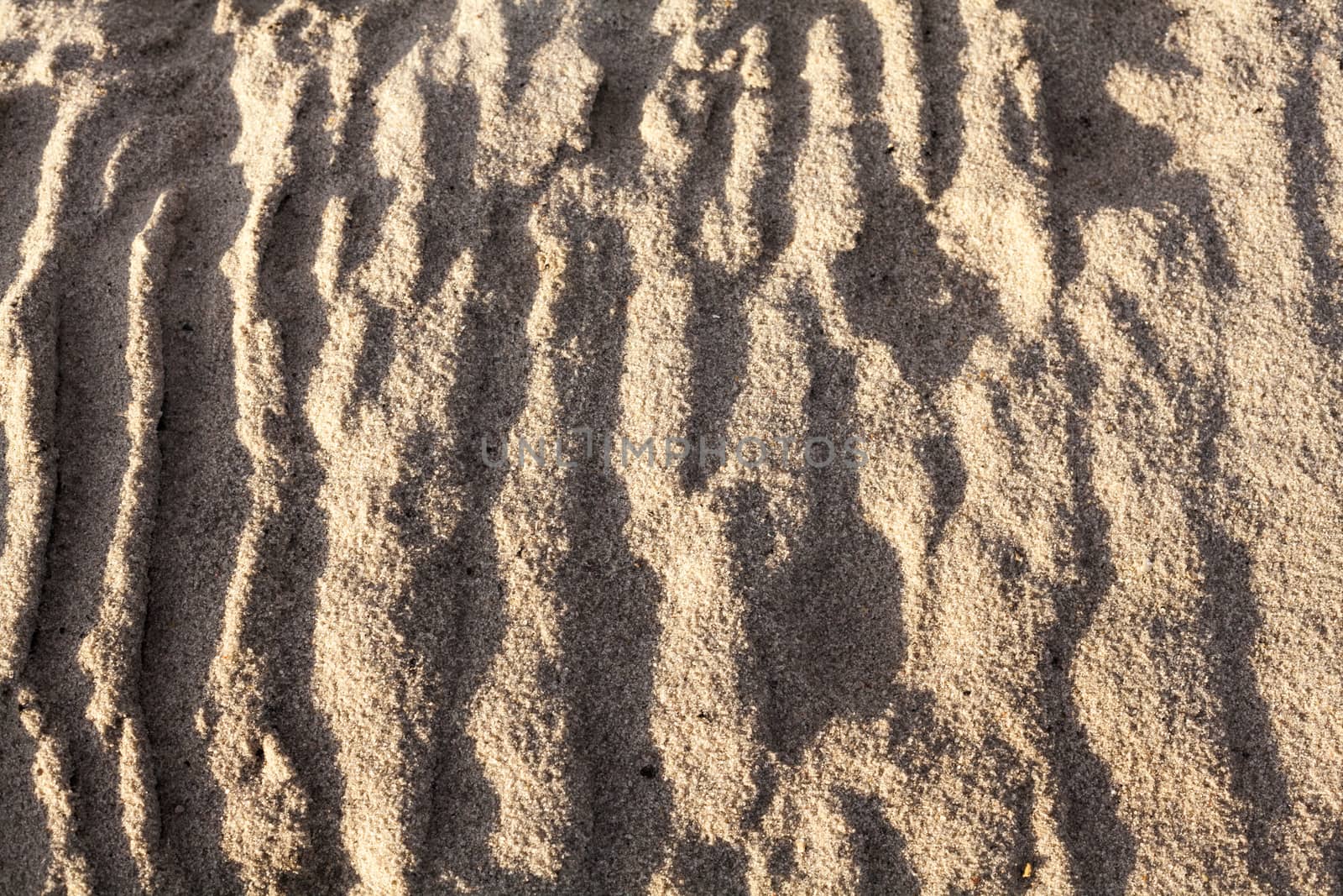 Sand surface after the rain with the visible traces of the water currents