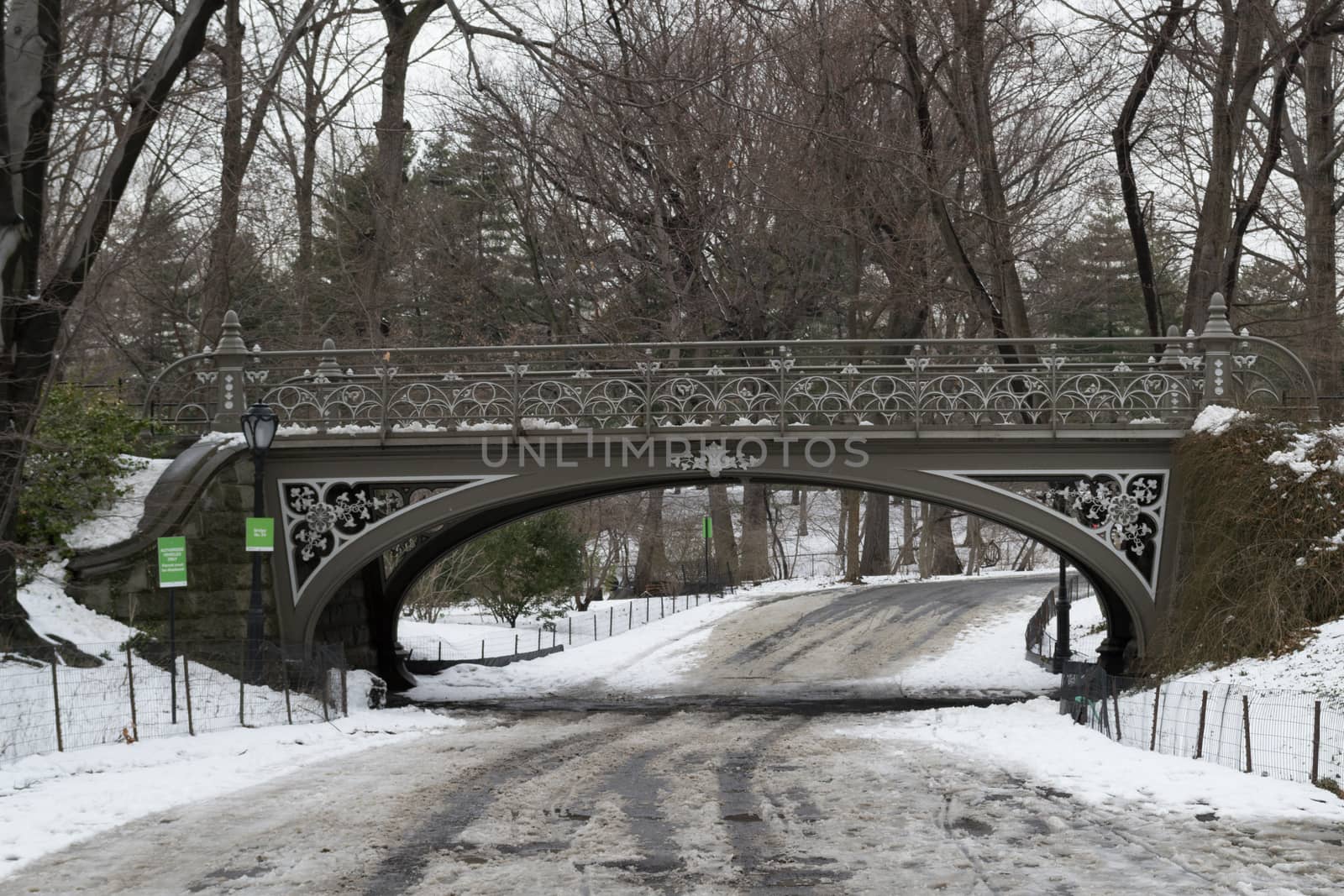 The South East reservoir bridge was built in 1864 by Calvert Vaux and the Cornell Ironworks